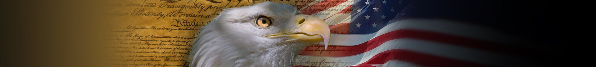 Bald eagle with American flag and document.