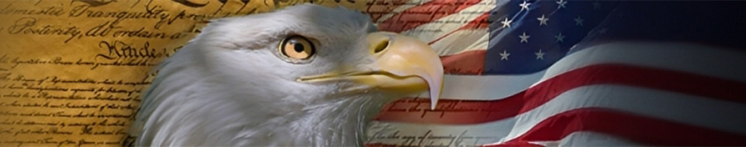 Bald eagle against a backdrop of the U.S. flag and the Declaration of Independence, symbolizing American freedom and patriotism.