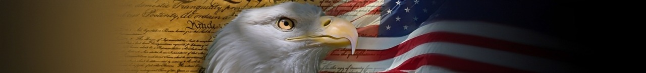 Bald eagle against a backdrop of the U.S. flag and the Declaration of Independence, symbolizing American freedom and patriotism.
